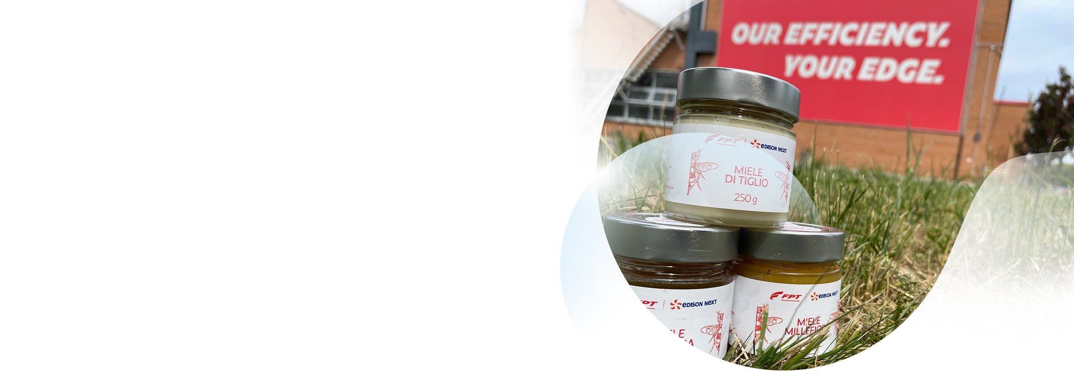 Biomonitoraggio con le api: la stazione di FPT Industrial