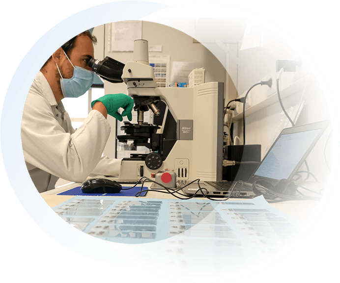 Laboratorio di chimica organica e inorganica