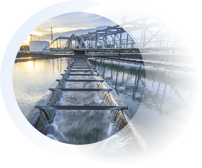 Vasca di fitodepurazione